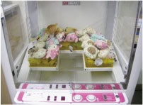 キューブモール | 株式会社 エンハート